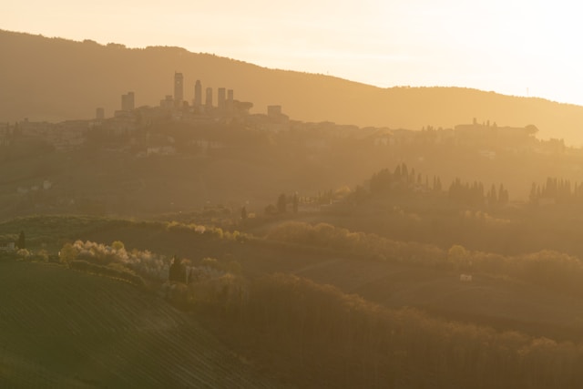 Chianti vineyard rows at sunset