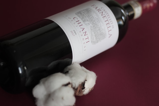 Stone farmhouse and vines in Chianti