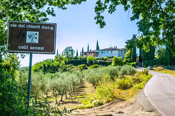 Chianti wine tour rules and etiquette
