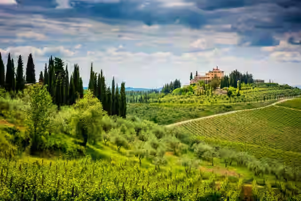 Chianti Wine Tour